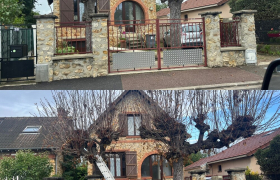 Elagueur Meaux